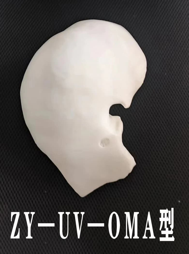 子殷器官轮廓模型实物,型号 ZY-UV-OMA